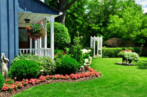 How to make a beautiful flower garden in front of the house